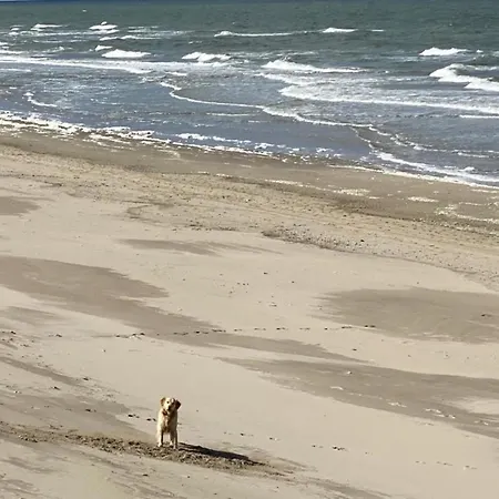 Neues Nr 86 Fuer Bis Zu 5 Persdirekt Am Wattenmeer, Hundefreundlich Eingezaeunt *