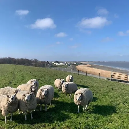 Neues Nr 86 Fuer Bis Zu 5 Persdirekt Am Wattenmeer, Hundefreundlich Eingezaeunt Westerland