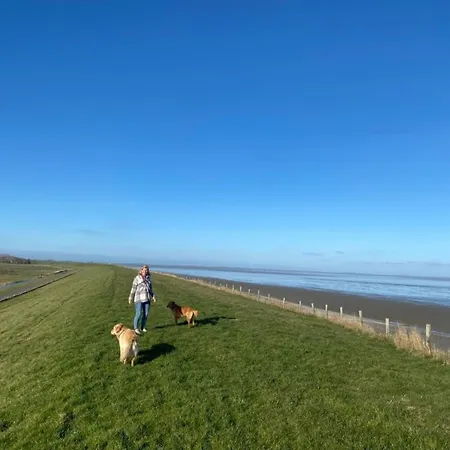 Neues Nr 86 Fuer Bis Zu 5 Persdirekt Am Wattenmeer, Hundefreundlich Eingezaeunt