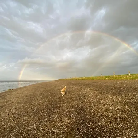 Neues Nr 86 Fuer Bis Zu 5 Persdirekt Am Wattenmeer, Hundefreundlich Eingezaeunt *
