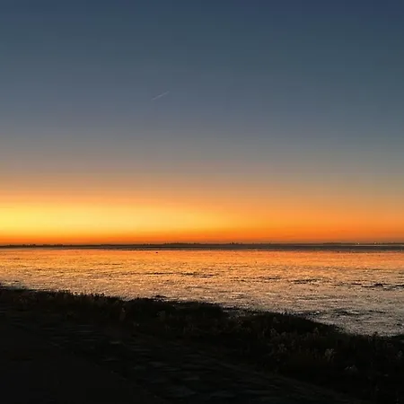 Neues Nr 86 Fuer Bis Zu 5 Persdirekt Am Wattenmeer, Hundefreundlich Eingezaeunt