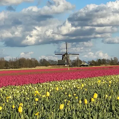 Ferienhaus Neues Nr 86 Für Bis Zu 5 Persdirekt Am Wattenmeer, Hundefreundlich Eingezäunt Westerland
