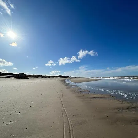 Neues Nr 86 Für Bis Zu 5 Persdirekt Am Wattenmeer, Hundefreundlich Eingezäunt Ferienhaus Westerland
