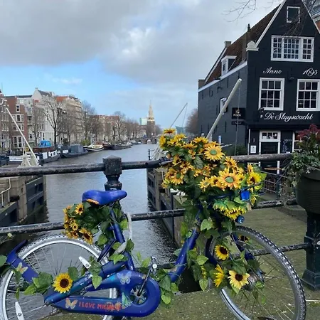 Neues Nr 86 Für Bis Zu 5 Persdirekt Am Wattenmeer, Hundefreundlich Eingezäunt Ferienhaus